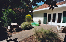 Dahlia - private garden